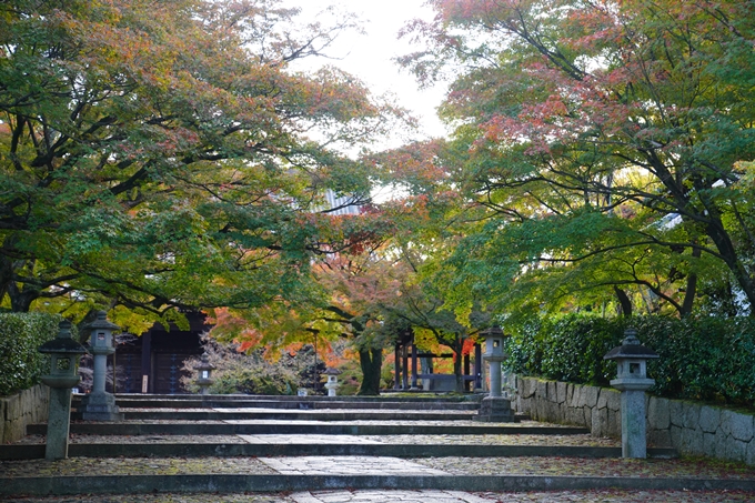 京都の紅葉_2021_01　金戒光明寺_真如堂　No17