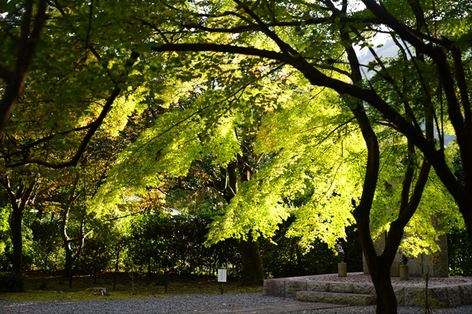 京都の紅葉_2021_01　金戒光明寺_真如堂　No25