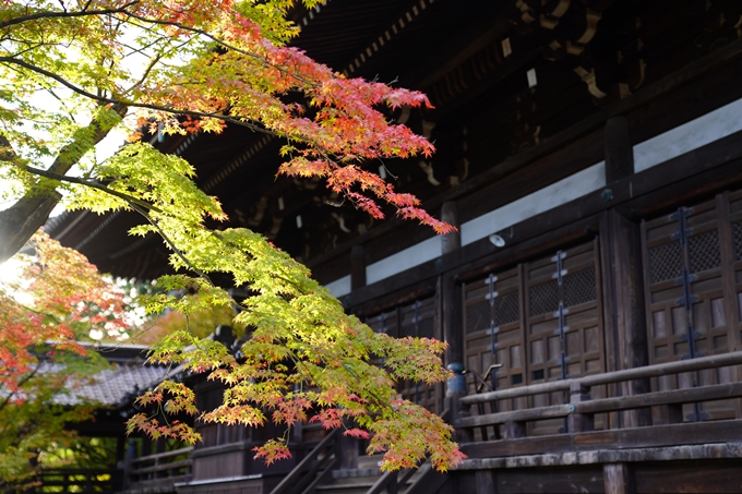 京都の紅葉_2021_01　金戒光明寺_真如堂　No27