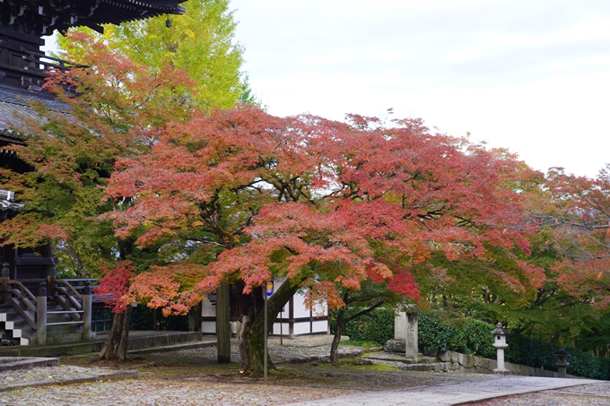 京都の紅葉_2021_01　金戒光明寺_真如堂　No28