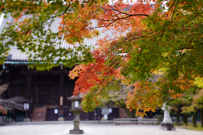 京都の紅葉_2021_01　金戒光明寺_真如堂　No32