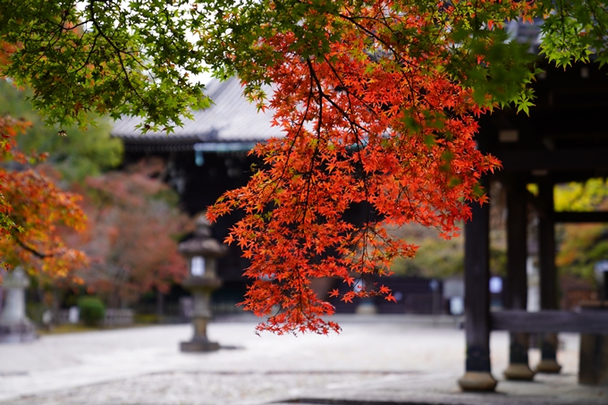 京都の紅葉_2021_01　金戒光明寺_真如堂　No33