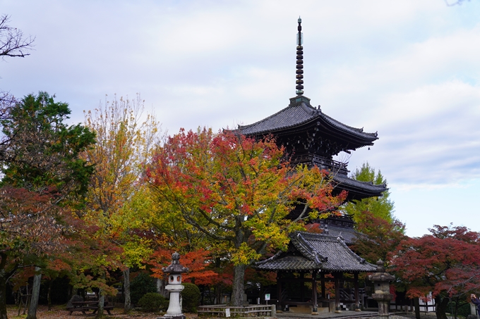 京都の紅葉_2021_01　金戒光明寺_真如堂　No35