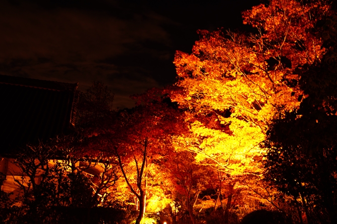 京都の紅葉_2021_02　神蔵寺_ライトアップ　No6