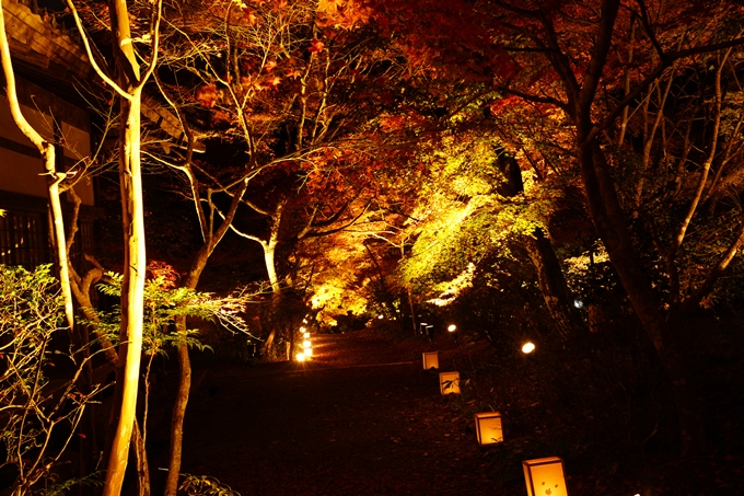 京都の紅葉_2021_02　神蔵寺_ライトアップ　No7