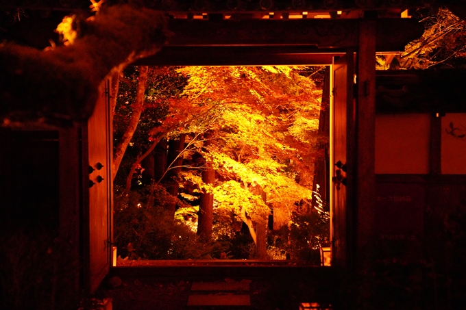 京都の紅葉_2021_02　神蔵寺_ライトアップ　No12