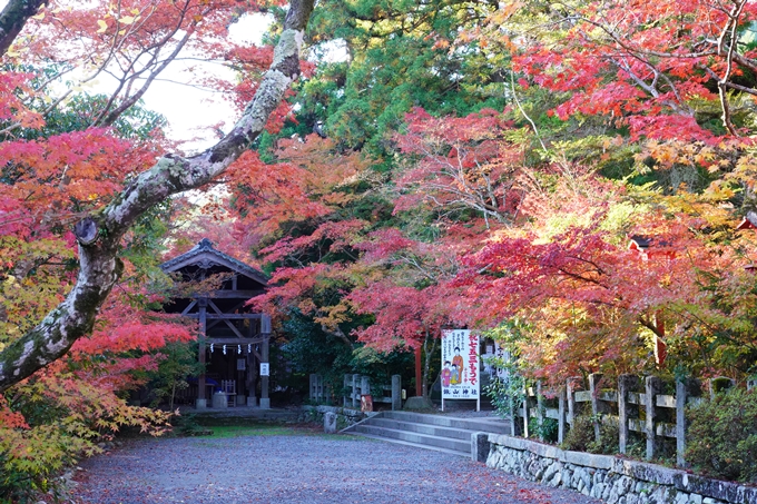 京都の紅葉_2021_03　鍬山神社　No6
