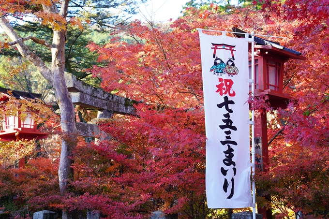 京都の紅葉_2021_03　鍬山神社　No7