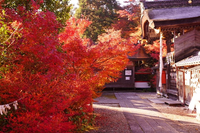 京都の紅葉_2021_03　鍬山神社　No10