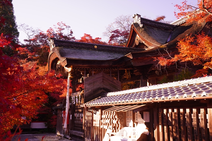 京都の紅葉_2021_03　鍬山神社　No11