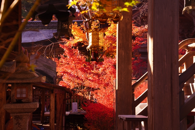 京都の紅葉_2021_03　鍬山神社　No12