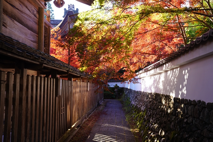 京都の紅葉_2021_03　鍬山神社　No13