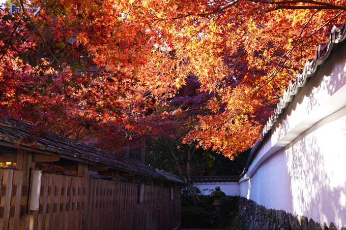京都の紅葉_2021_03　鍬山神社　No14