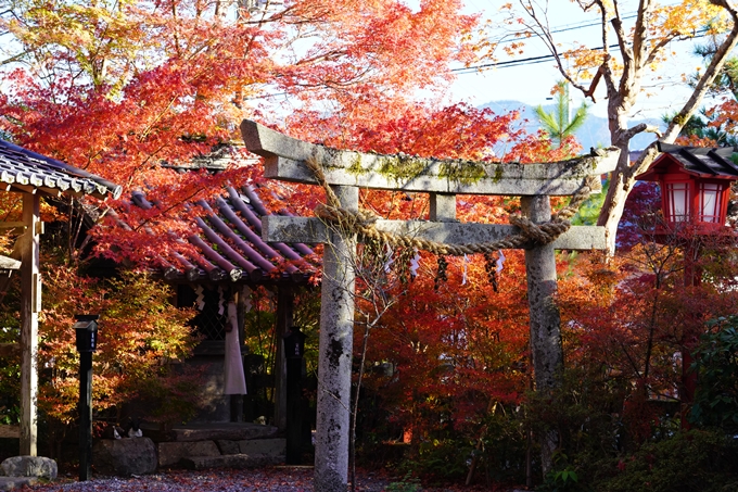 京都の紅葉_2021_03　鍬山神社　No27