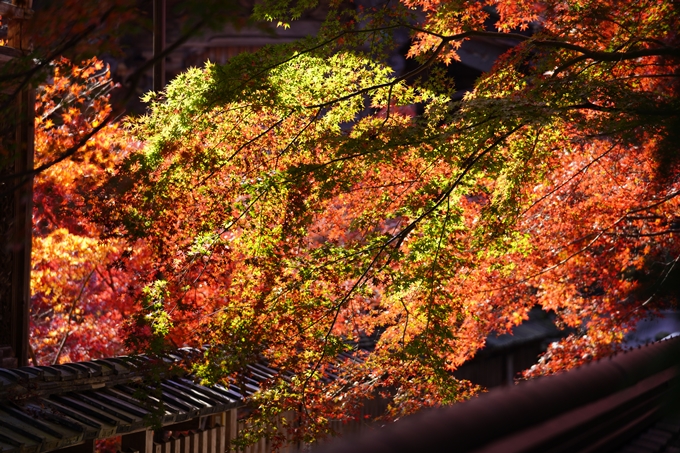 京都の紅葉_2021_03　鍬山神社　No20