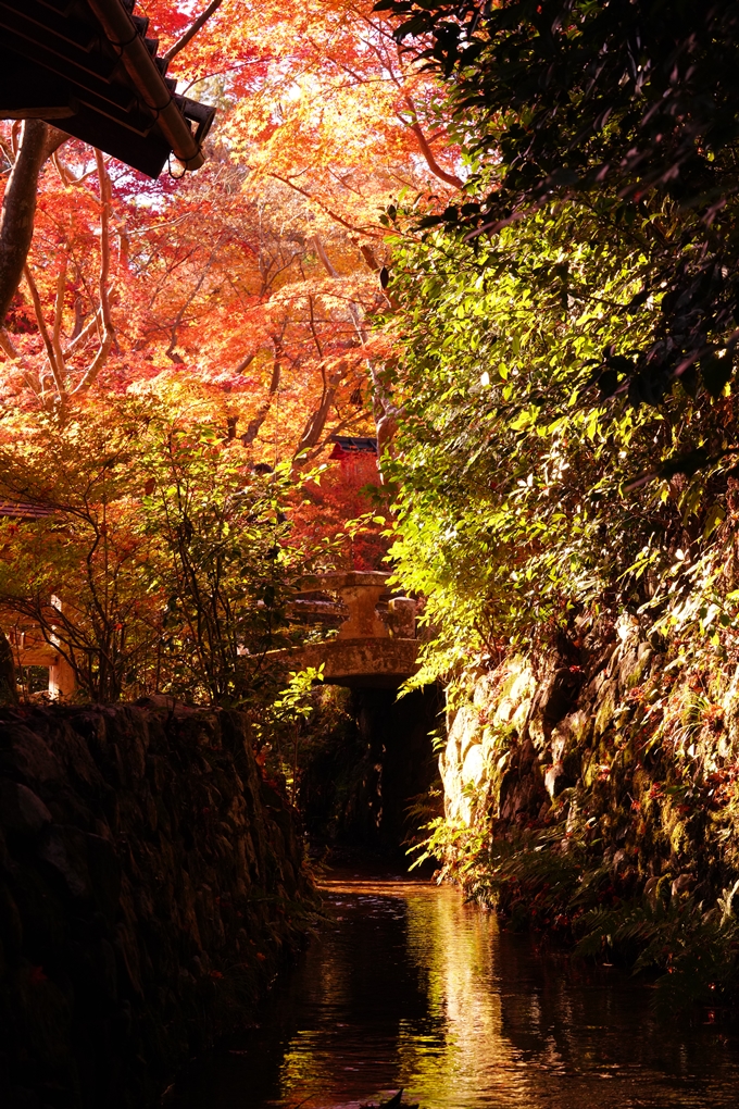 京都の紅葉_2021_03　鍬山神社　No24