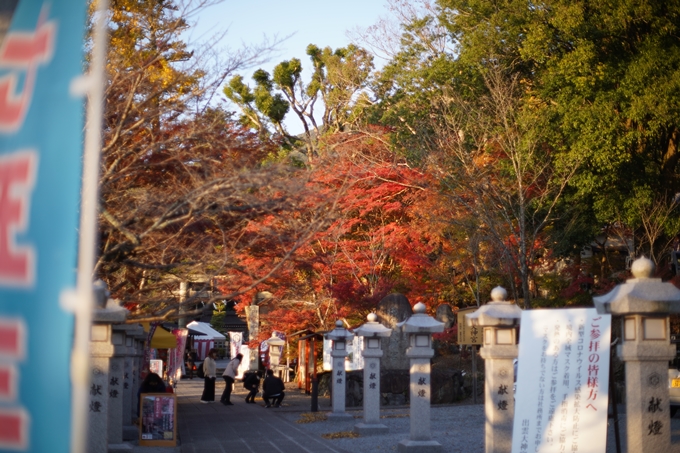 京都の紅葉_2021_07　出雲大神宮　No3