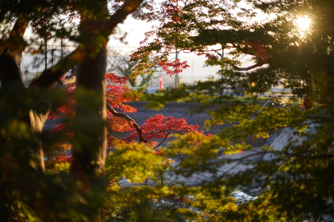 京都の紅葉_2021_07　出雲大神宮　No13