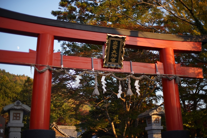 京都の紅葉_2021_07　出雲大神宮　No14