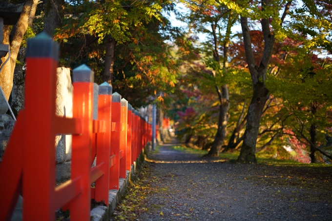 京都の紅葉_2021_07　出雲大神宮　No15