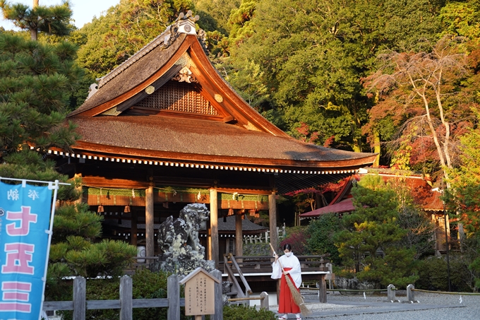 京都の紅葉_2021_07　出雲大神宮　No17