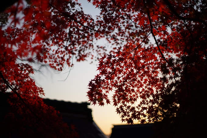 京都の紅葉_2021_07　出雲大神宮　No21