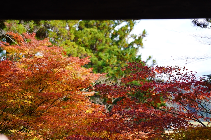 京都の紅葉_2021_04　龍穏寺　No15