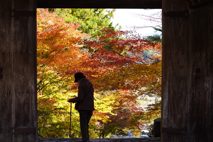 京都の紅葉_2021_04　龍穏寺　No17