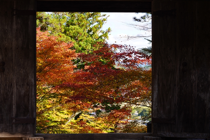 京都の紅葉_2021_04　龍穏寺　No18