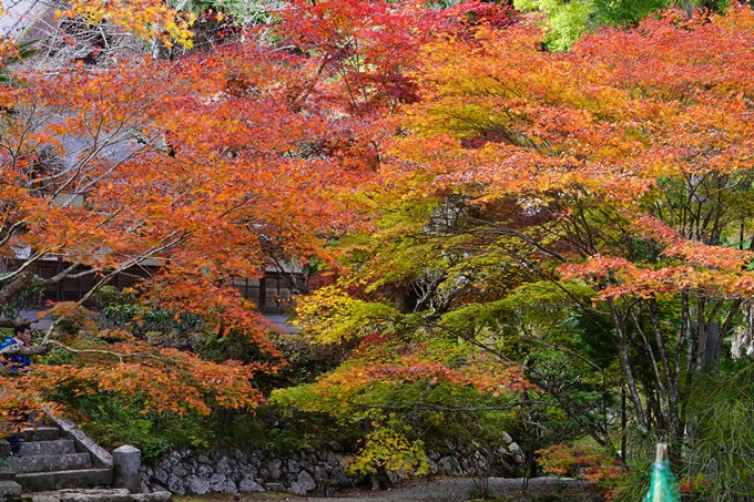 京都の紅葉_2021_04　龍穏寺　No21