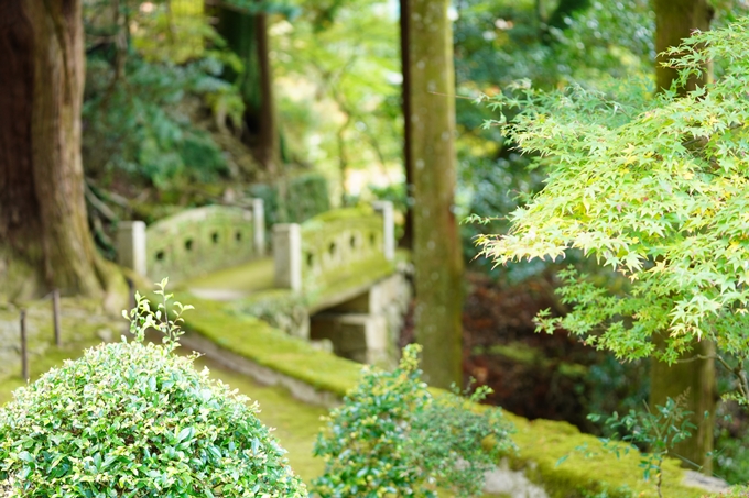 京都の紅葉_2021_04　法常寺　No6