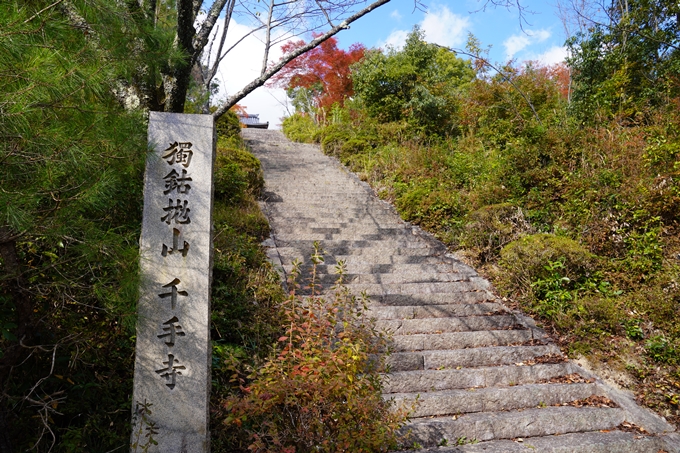 京都の紅葉_2021_05　千手寺　No2