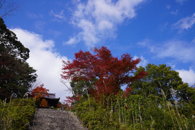 京都の紅葉_2021_05　千手寺　No3