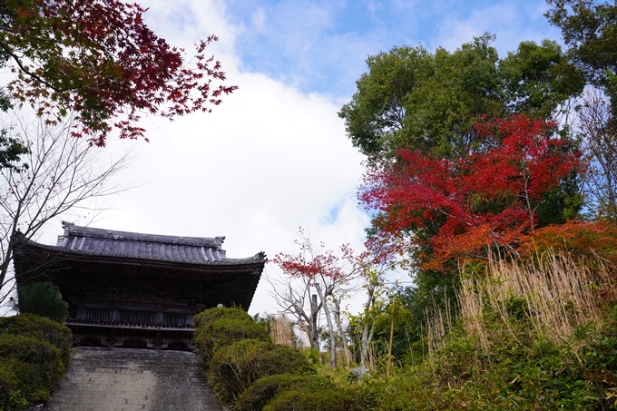 京都の紅葉_2021_05　千手寺　No7