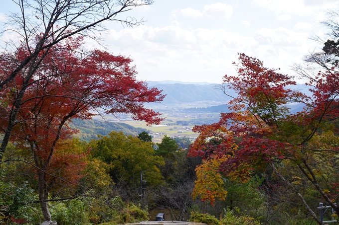 京都の紅葉_2021_05　千手寺　No9