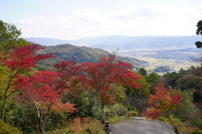 京都の紅葉_2021_05　千手寺　No12