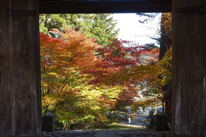 京都の紅葉_2021_04　龍穏寺　No25