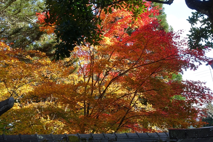 京都の紅葉_2021_04　龍穏寺　No26