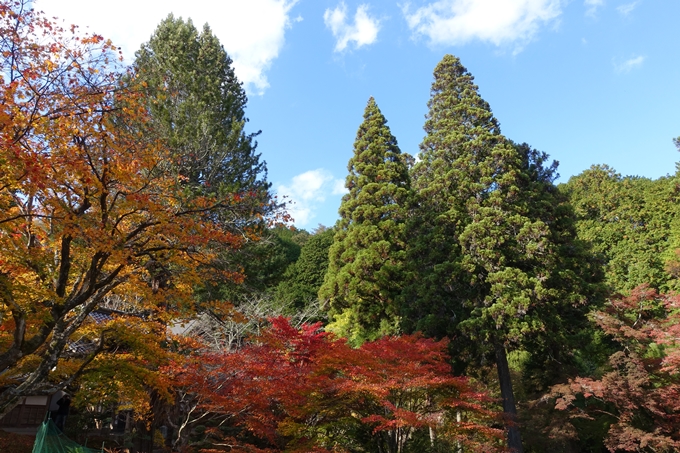 京都の紅葉_2021_04　龍穏寺　No28