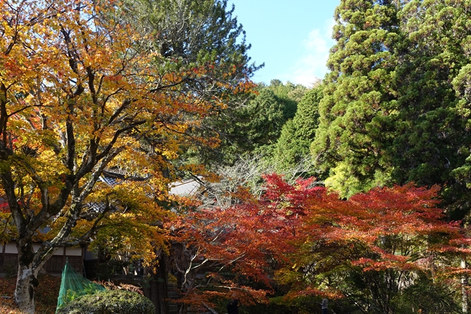 京都の紅葉_2021_04　龍穏寺　No30