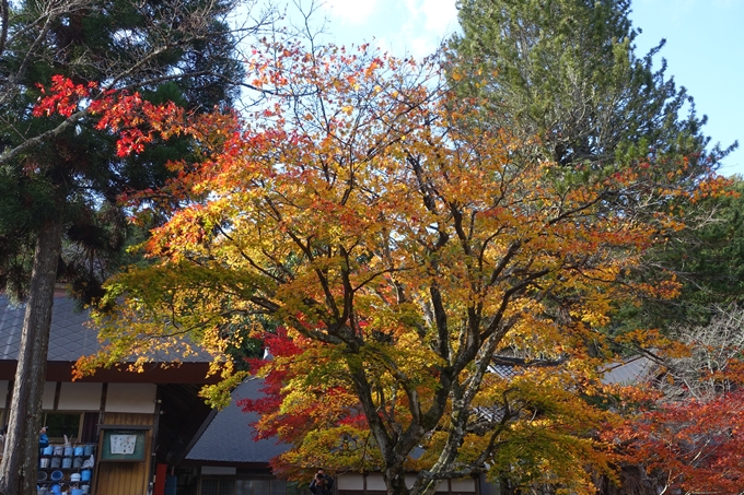 京都の紅葉_2021_04　龍穏寺　No31