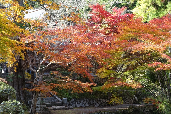 京都の紅葉_2021_04　龍穏寺　No33