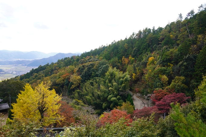 京都の紅葉_2021_05　千手寺　No18