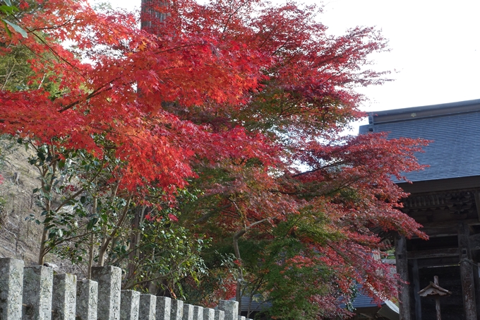 京都の紅葉_2021_04　摩気神社　No10