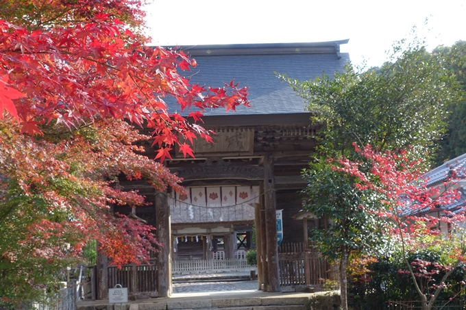 京都の紅葉_2021_04　摩気神社　No12