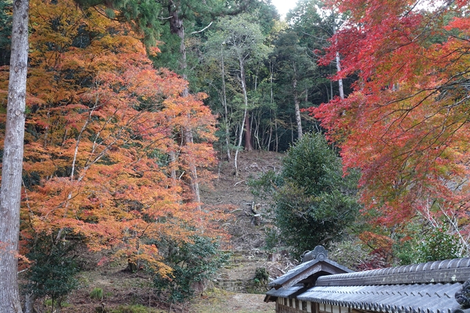 京都の紅葉_2021_04　摩気神社　No13