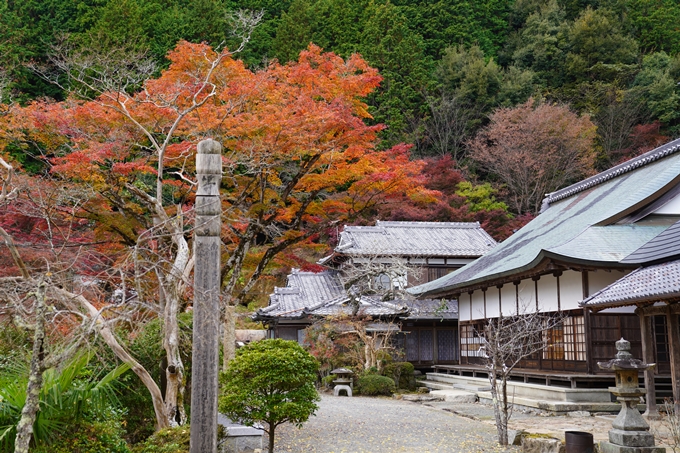 京都の紅葉_2021_05　千手寺　No21