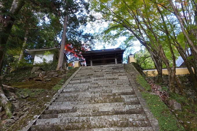 京都の紅葉_2021_04　法常寺　No9