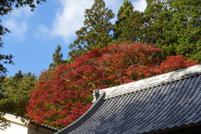 京都の紅葉_2021_04　法常寺　No11