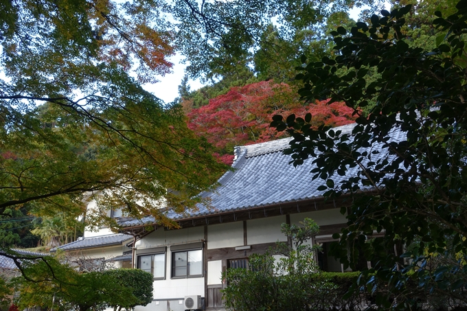 京都の紅葉_2021_04　法常寺　No14